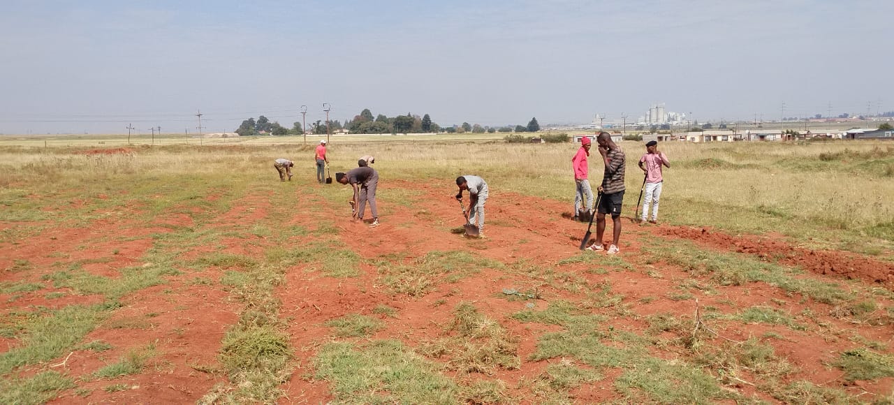 Vukuzenzele growth foundation teaches farming skills and supports families in Delmas