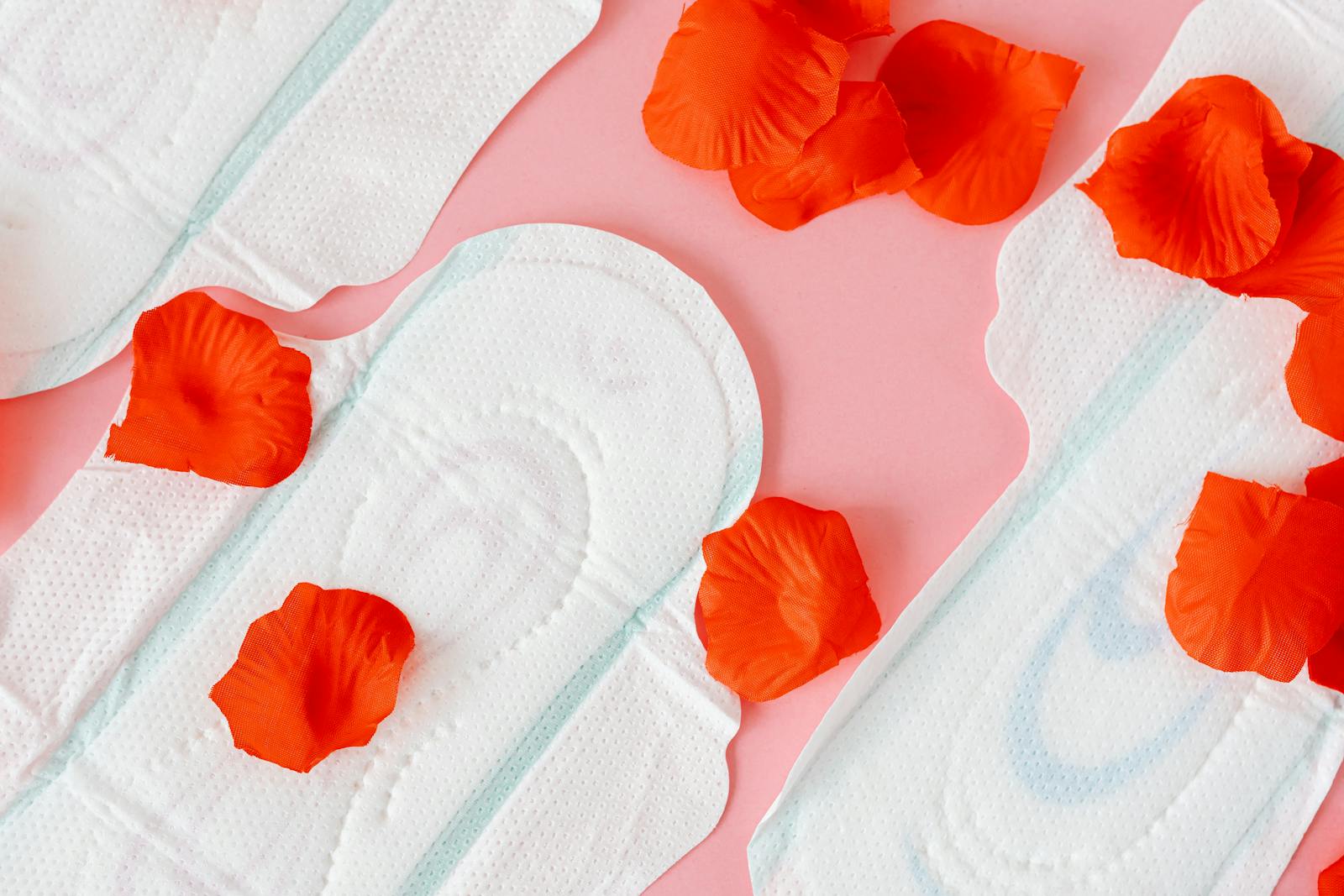 Menstrual dignity in focus as Steve Tshwete empowers young girls