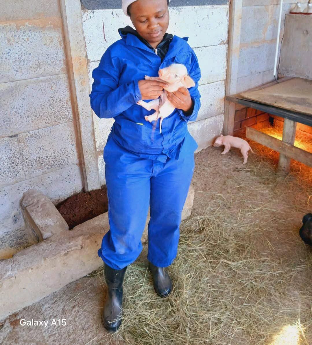 Young entrepreneur turns meat door-to-door sales into a livestock farming business Prettygirl Integrated Farm