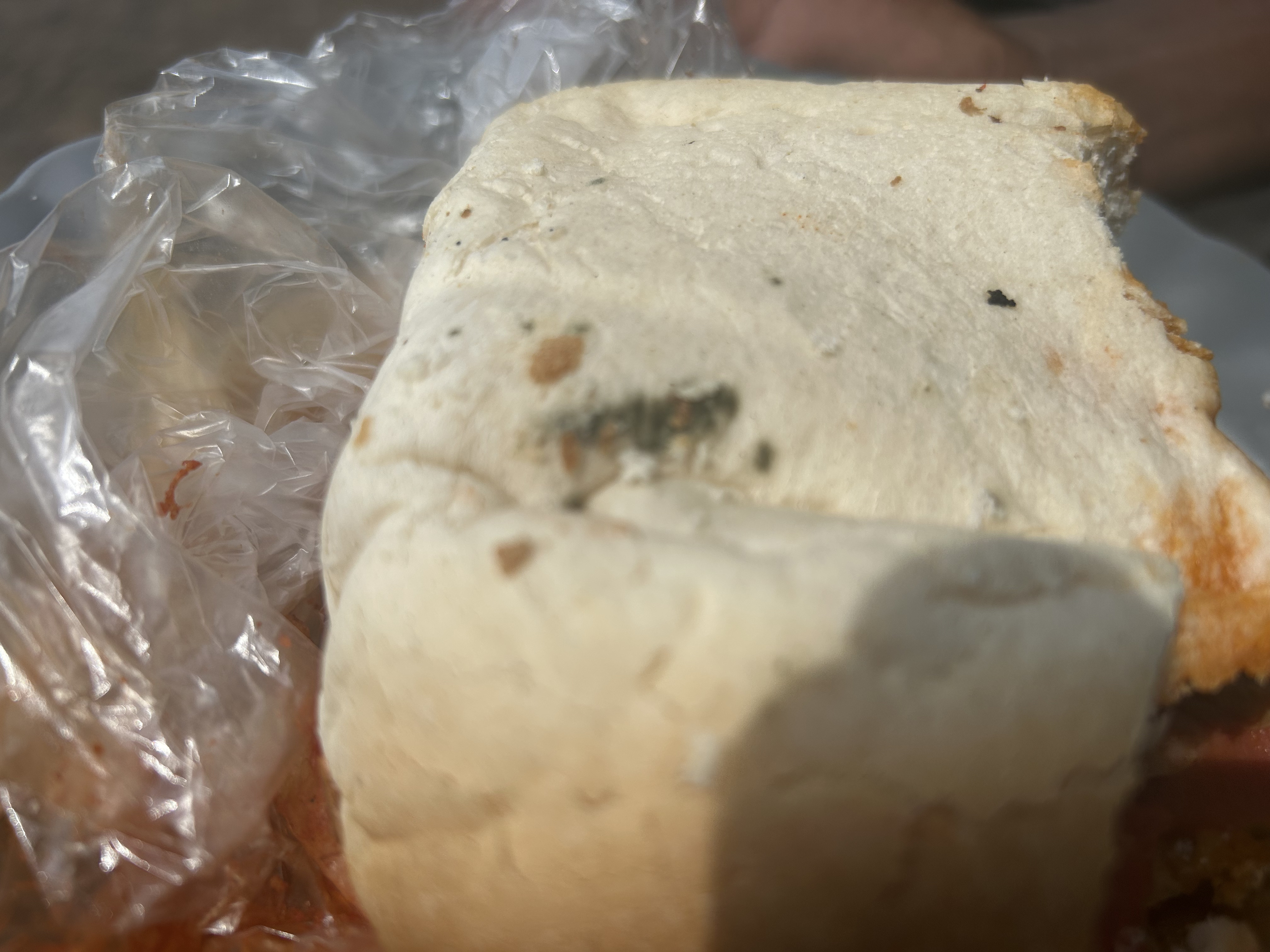 Middelburg resident raises concern over moldy kota