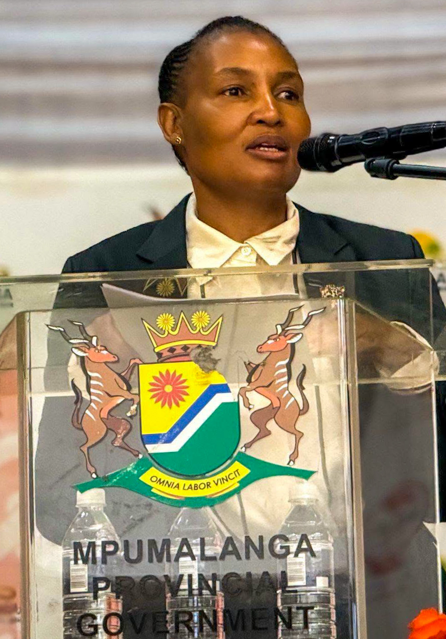 200 Mpumalanga young people selected for real estate programme